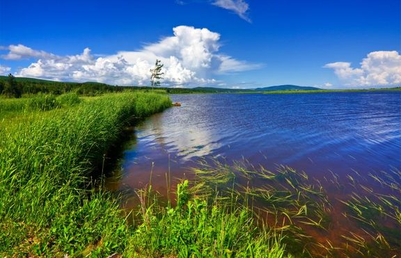 Мисли зелено - любопитни факти
