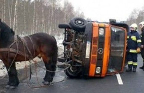 Кон впрегнат за камион ?!?