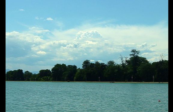 Шейхът на Абу Даби в Пловдив за  F1 на вода?  