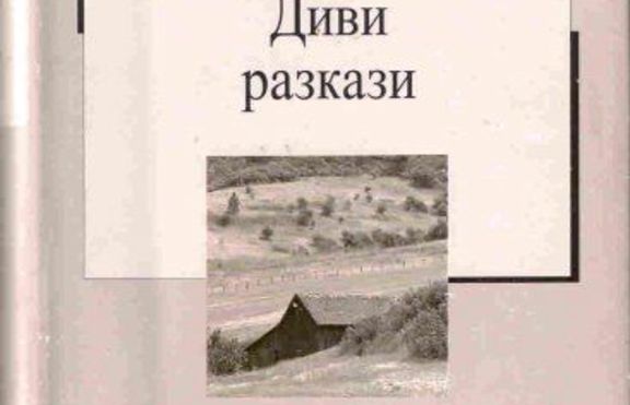„ Дервишово семе ”- Кратка интерпретация