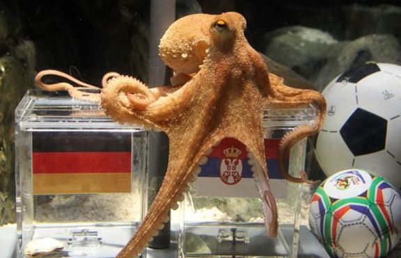 Октопод предрича: Германия ще стигне до четвъртфиналите 
