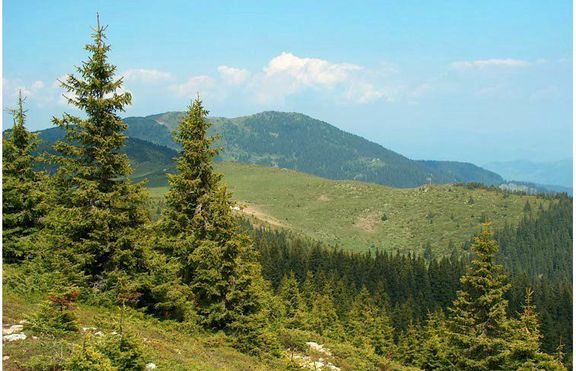 Планинари се изгубиха край Смолян 