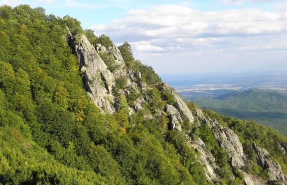 Открита гробница в местността Кози грамади 