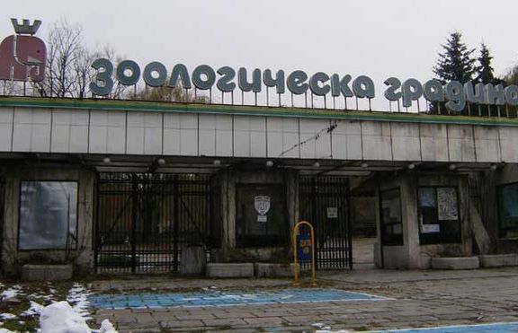 До тук с храненето на животни в зоопарка!Слагат камери, следват санкции