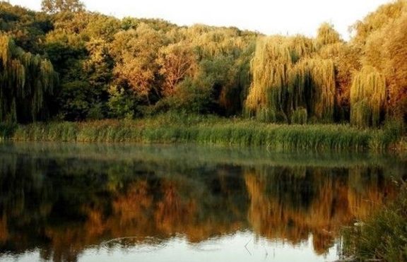 5 юни - Световяен ден на околната среда 