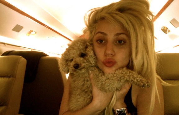 Кучето на Lady GaGa е ексцентрично като нея