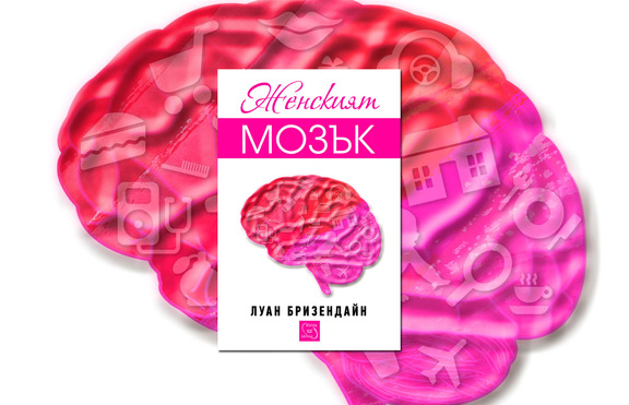 „Женският мозък” е разгадан!