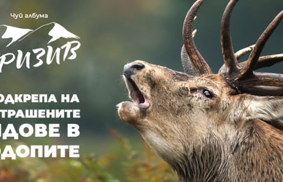 Кампанията в защита на застрашените видове в Родопите -  “Призив” успешно достиг