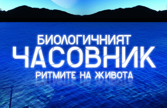 Да поговорим за биологичния часовник