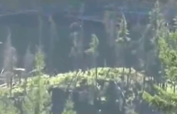 Заснеха същество, което доста прилича на Йети (+ видео)
