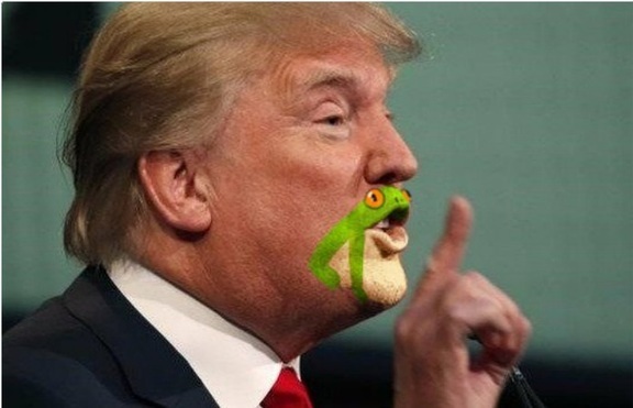 Как изглежда Доналд Тръмп с жаба на брадичката?