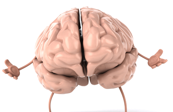 Факт: Човешкият мозък може да съхрани вечната си младост