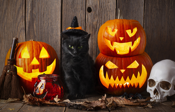 Как се маскираха звездите на Хелоуин? - втора част