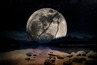 Вълча луна носи щастие на 4 зодии