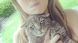 10 котки, които мразят селфита и снимки	