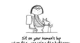 How To Be a Cat