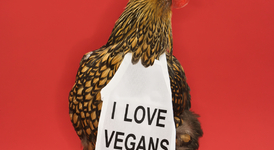 Vegan Fun